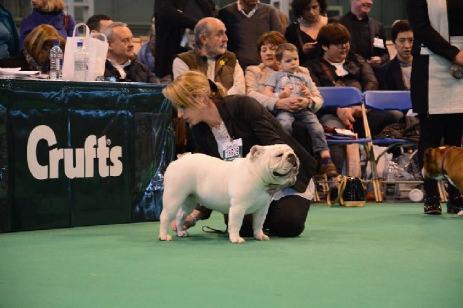 des Roxa-Lina - Crufts 2015