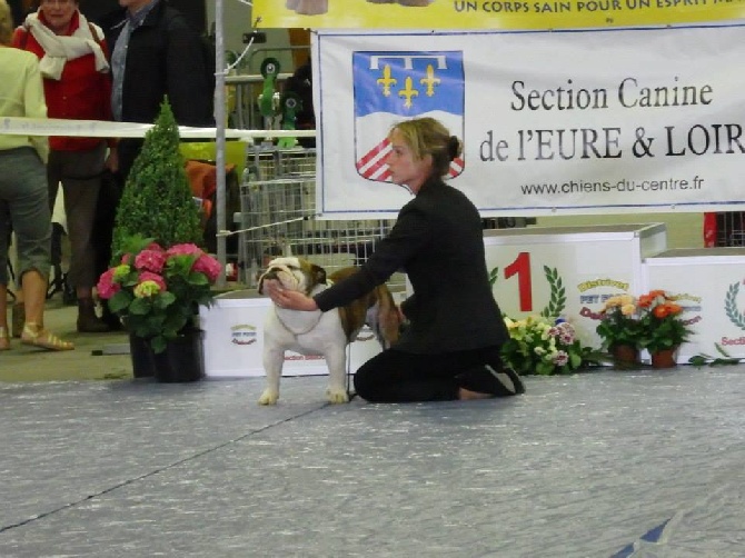 des Roxa-Lina - Chartres expo 2014