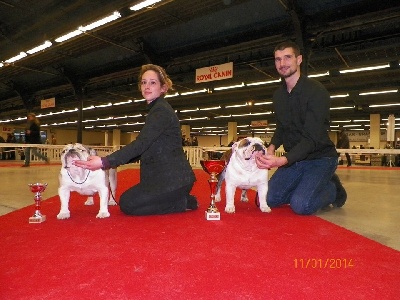 des Roxa-Lina - Paris Dog Show 2014