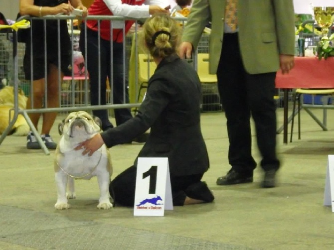 des Roxa-Lina - chartres 2014