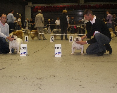 des Roxa-Lina - CAC Chartres 2013 