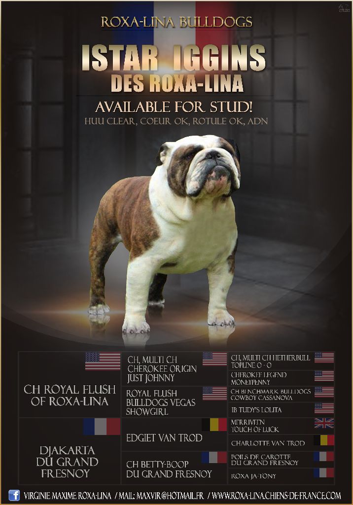 Istar iggins des Roxa-Lina