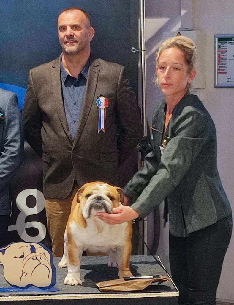 Veni vidi vici des Roxa-Lina