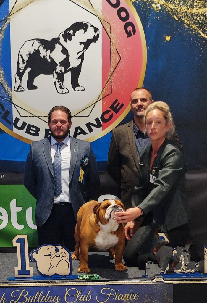 Us navy popeye des Roxa-Lina