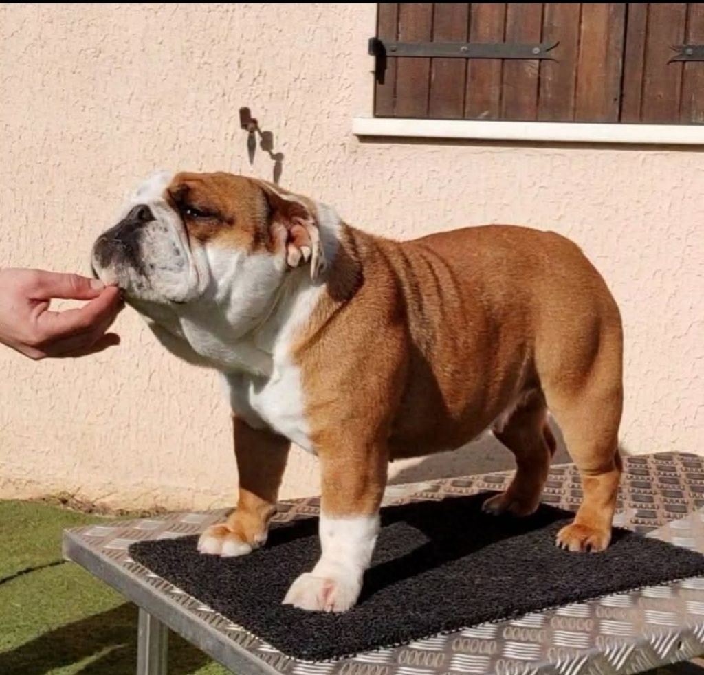 Tagada des Roxa-Lina